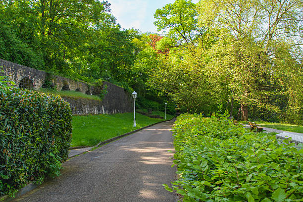 istock Path in a park with a bench and a lamp post. The path is surrounded by bushes and trees 2215767484