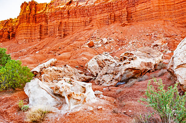 Located in south-central Utah in the heart of red rock country, Capitol Reef National Park is a hidden treasure filled with cliffs, canyons, domes, and bridges in the Waterpocket Fold, a geologic monocline (a wrinkle on the earth) extending almost 100 miles.