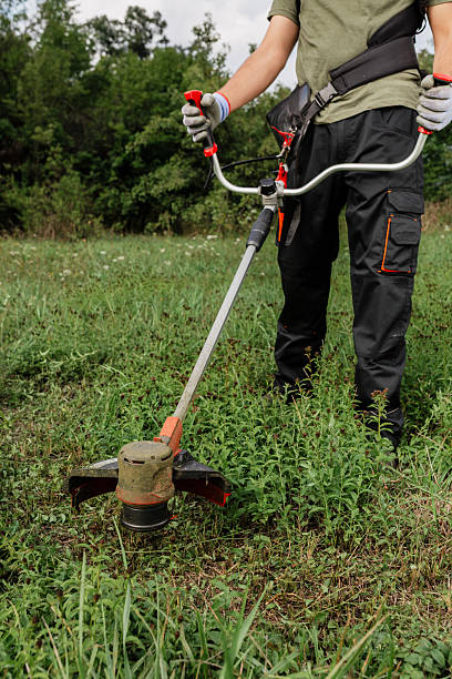 istock Man using a string trimmer in a grassy area to maintain a garden or yard during a sunny day 2215778083