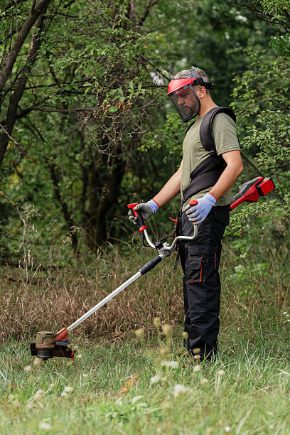 istock Man using a string trimmer in a grassy area to maintain the landscape 2215778101