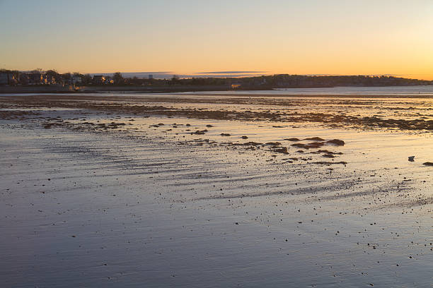 morning light on lynn beach
