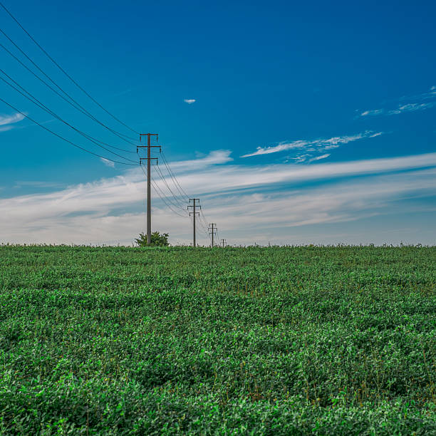 power concept: electricity line over a green meadow and against a blue sky. Castelmaggiore, Metropolitan City of Bologna, Emilia-Romagna, Italy