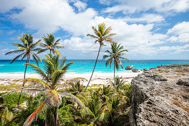 Caribbean beach - Harrismith, Barbados