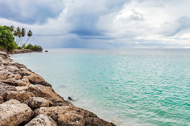 Beautiful view of Atlantic Ocean with turquoise water on island of Aruba with incoming wave on rocky shore.