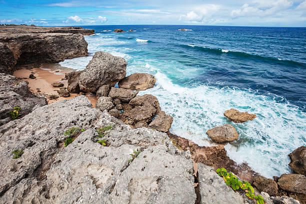 Rocky coast - North Point, Barbados