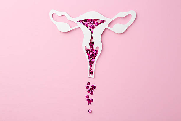istock Menstruation. Paper uterus with sequins on pink background, top view 2215790845