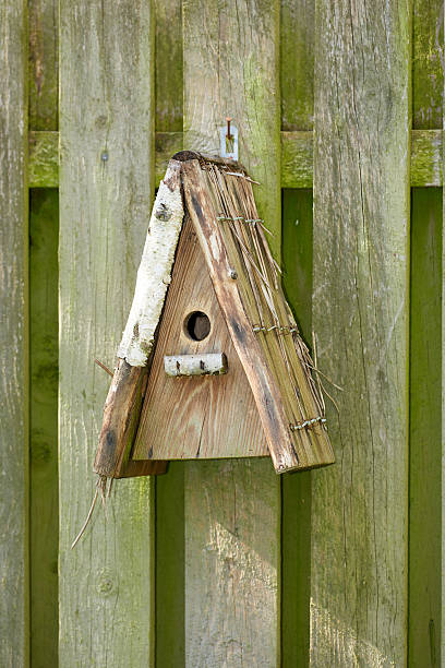 istock Rustic birdhouse on weathered wooden fence under soft sunlight highlighting natural textures 2215794783