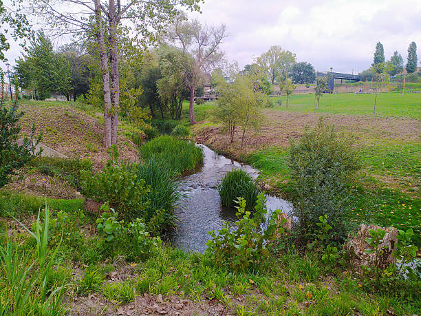 istock Serene stream flowing through a lush, green park. Natures tranquility, environmental concepts, or peaceful outdoor scenes. Ideal for relaxation themes. 2215795034