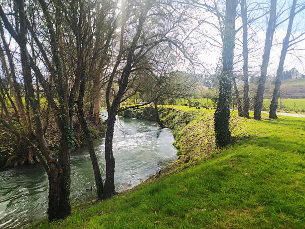istock Serene landscape featuring a flowing river bordered by lush green grass and trees. Ideal for nature, travel, or tranquility concepts. Fresh, natural, idyllic. 2215795066