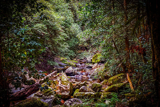 Flowing Creek in Autumn Through Mountain Valley - Scenic views during fall autumn colors.