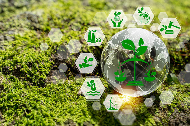 istock Sustainable development concept showing green energy, eco industry 2215808489