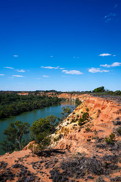 istock Vertical Scenic View of the Murray River and Headings Cliffs Cliff in Paringa, Murtho, South Australia 2215813367