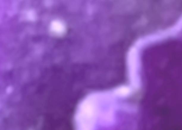 Abstract purple background with particles for lonely, sad, mysterious
