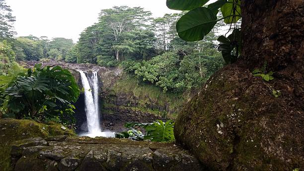istock Rainbow Falls, Wailuku River State Park near Hilo, Hawaii 2215814597