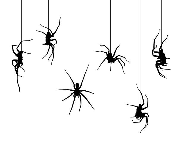Spooky Dangling Spiders Vector illustration of six spider silhouettes hangling on their spiderwebs. spider stock illustrations