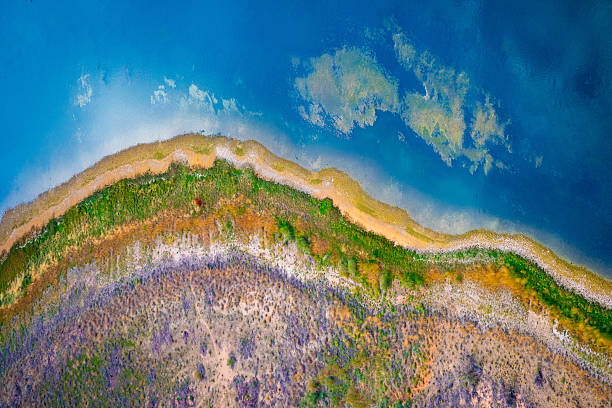 Close-up aerial perspective of the vibrant green algae lining the shoreline of the Colorado River at Grand Canyon, framed by the red rock formations of Horseshoe Bend, Arizona, creating a striking contrast between nature’s colors and textures.