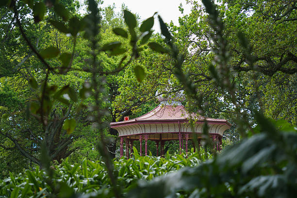 Gazebo in Albert Park (Auckland) through flowers and tree branches