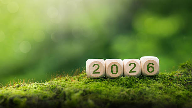 istock 2026, New year Environment Concepts. Sustainable environment development goals, green business, clean planet and ecology, ESG and NetZero Concept. number on wooden cube. 2215827606