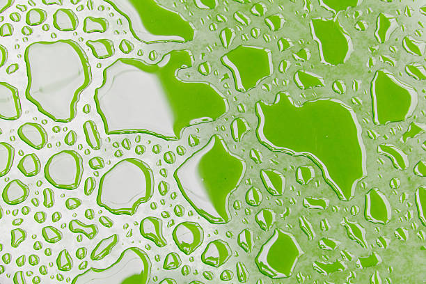 istock A green surface with many small droplets of water on it 2215831368