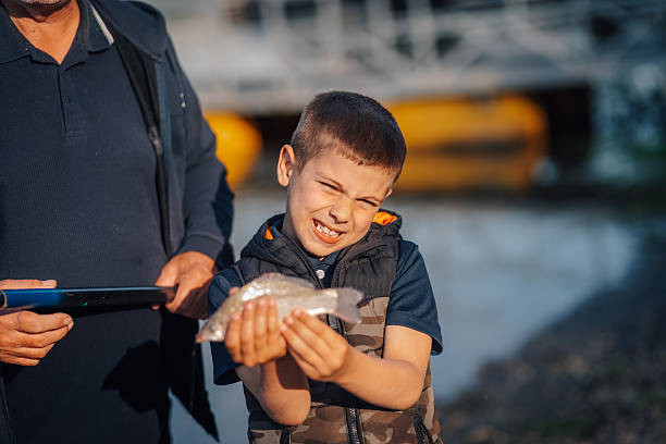 Little boy looking into a goldfish bowl.