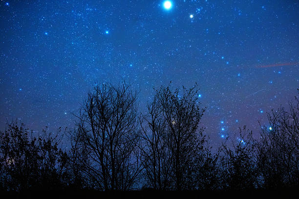 istock Milky Way stars with countryside tree silhouettes. 2215832615