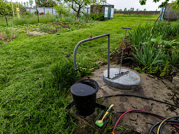 istock A garden with a water pump in the middle of it 2215833273