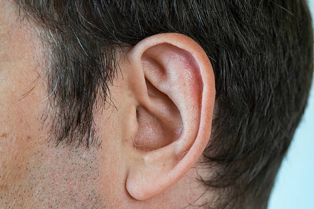 istock Caucasian male ear close up macro shot 2215833638