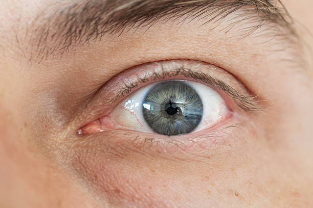 istock Caucasian male blue eye macro close up shot 2215833653