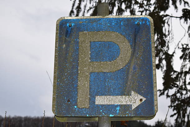 A rectangular blue road sign with the letter P. There is a small sign saying that there is a charge for parking. Below this is a sign indicating how to park the car.