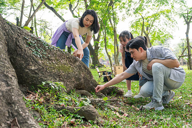 Two senior Japanese ladies hiking and looking for wood in the wild.