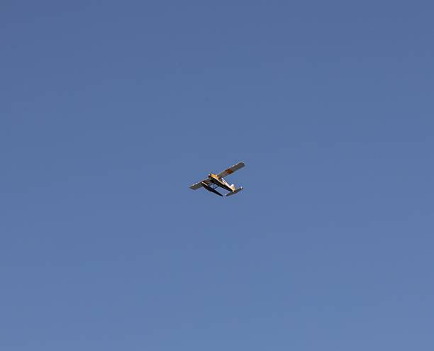 istock Seaplane flying over Seattle skyline 2215846599