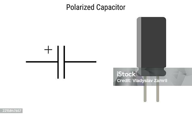 Cpacitor Component Image Polarized Capacitor Circuit Schematic Symbol And Physical Component ...