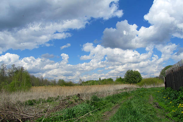Beautiful sunny day in a field with blue sky and fluffy clouds outside the city