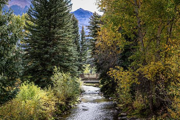 istock Serene river through autumn forest with mountain view. 2215854080