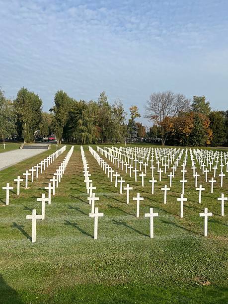 istock Military cemetery with white crosses and autumn trees. 2215856266
