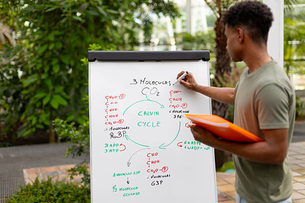 In a modern classroom setting, a diverse group of adult learners participates in a prison education program led by an instructor. The atmosphere is serious and focused, encouraging collaboration.