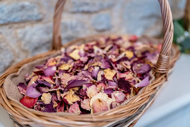 Dried rose