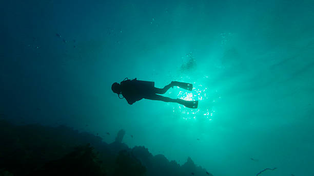istock Silhouette of a diver underwater against the sun. 2215861018