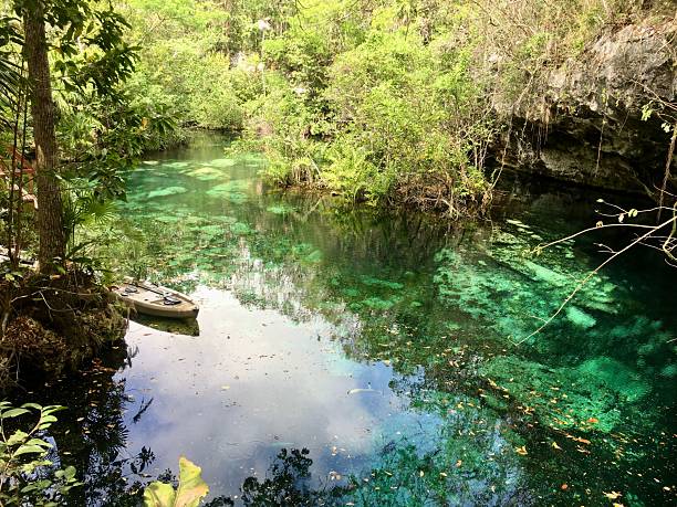 istock Tranquil tropical cenote with clear turquoise water. 2215863104