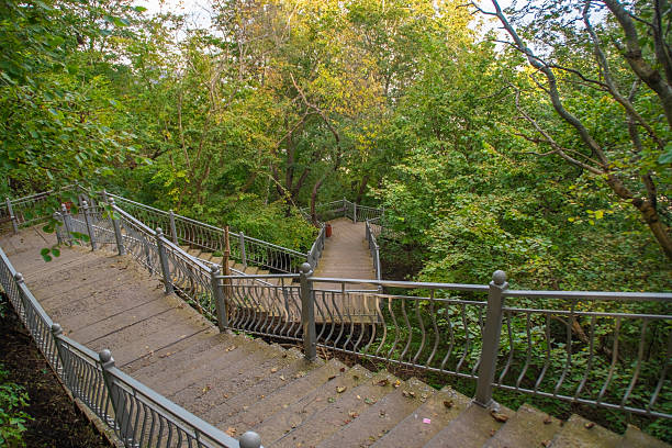 istock A strangely curved staircase descends down through the forest. 2215868199