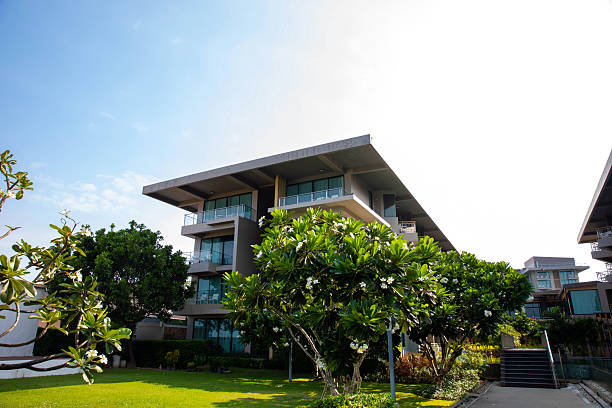 Palm trees and house exterior over sunny blue sky in Ko Samui island, Thailand