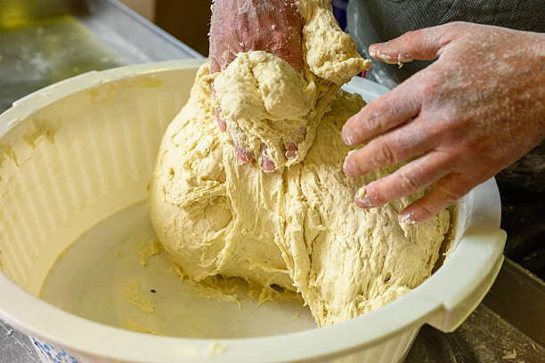 hands of a baker kneading bread, baker's hands developing dough texture
