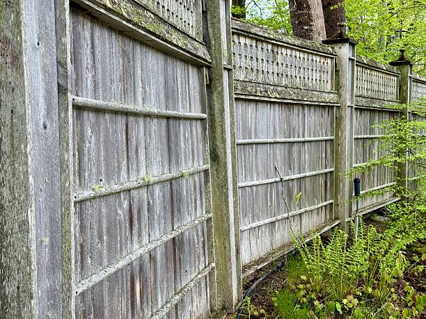 istock Wooden privacy fence 2215893764