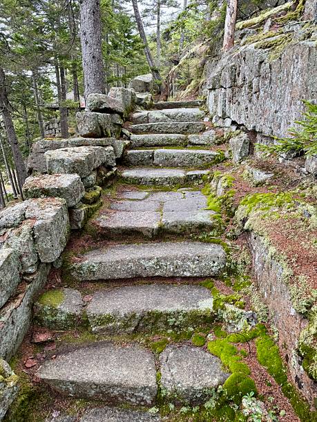 Landscaped Garden Natural Stone Staircase