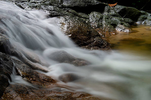 istock Long exposure cascading waterfall in the jungle 2215898762