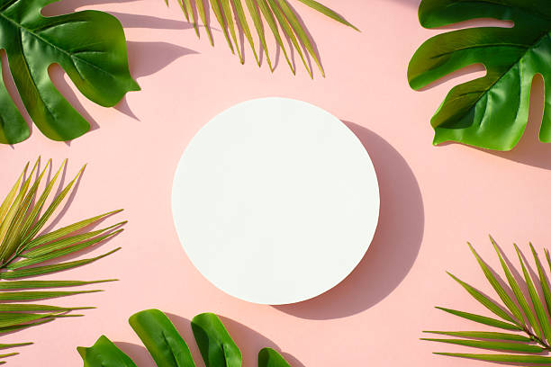 istock Summer flat lay background tropical leaves on white. 2215900168