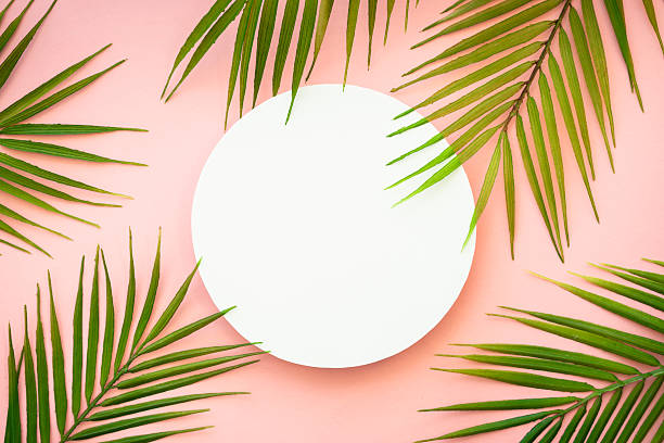 istock Summer flat lay background tropical leaves on white. 2215900197