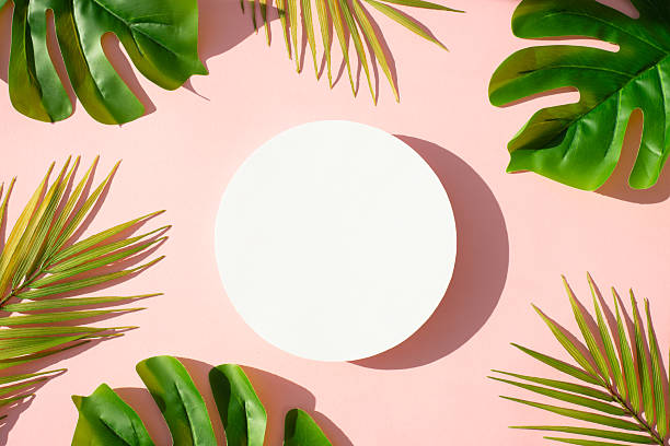 istock Summer flat lay background tropical leaves on white. 2215901014