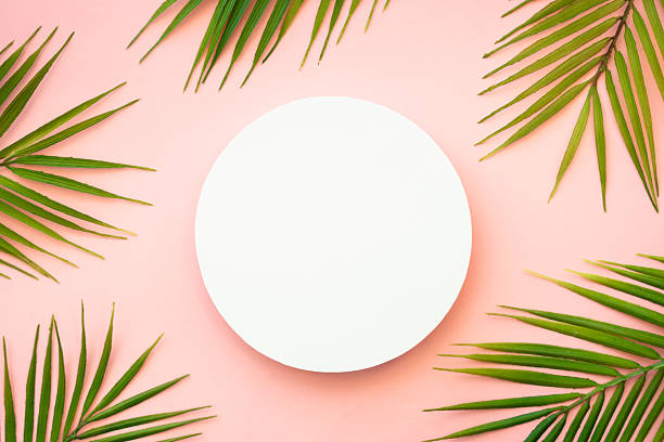 istock Summer flat lay background tropical leaves on white. 2215901113