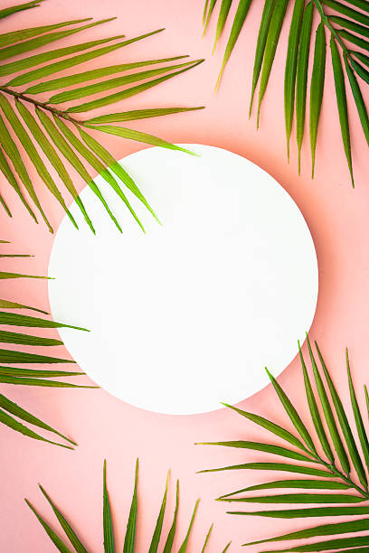 istock Summer flat lay background tropical leaves on white. 2215901117